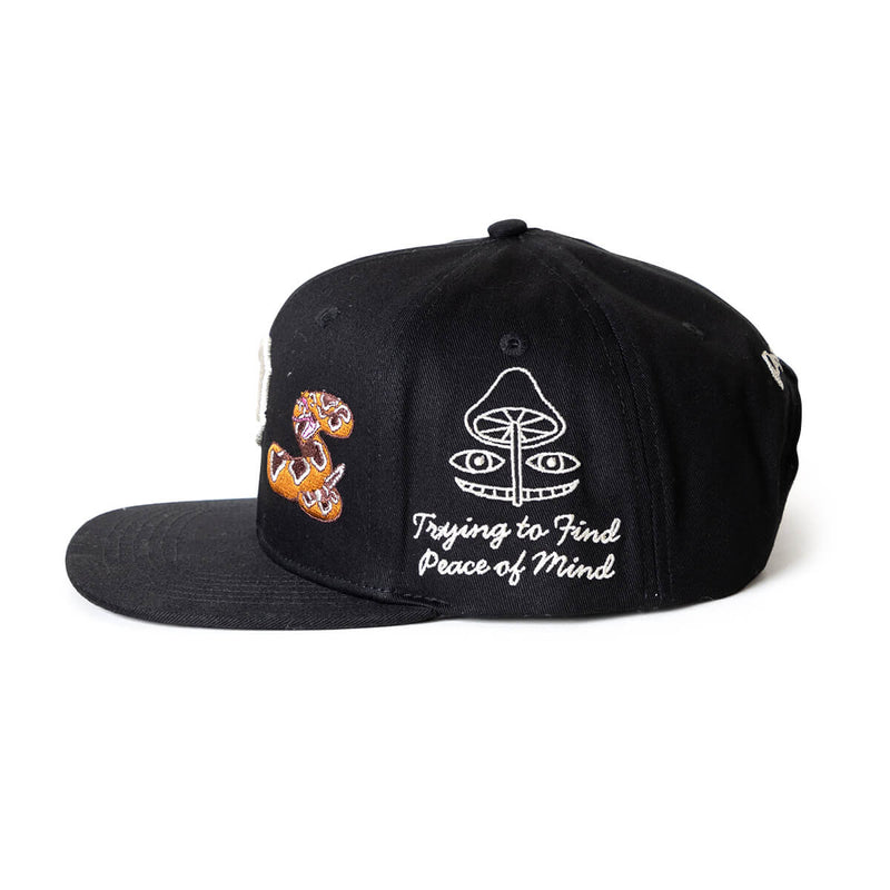 BADLANDS SNAPBACK