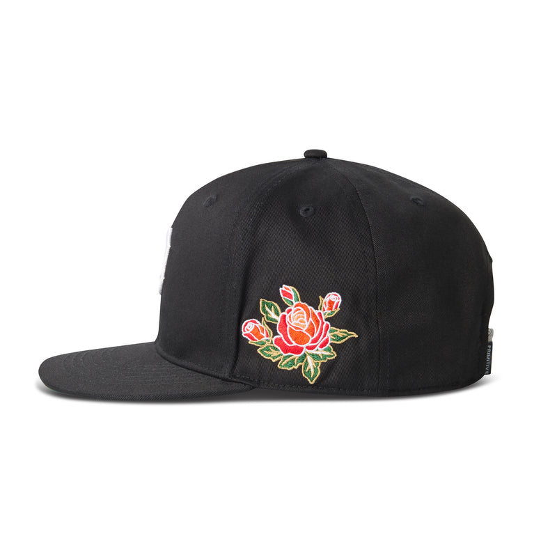 COLORADO SNAPBACK