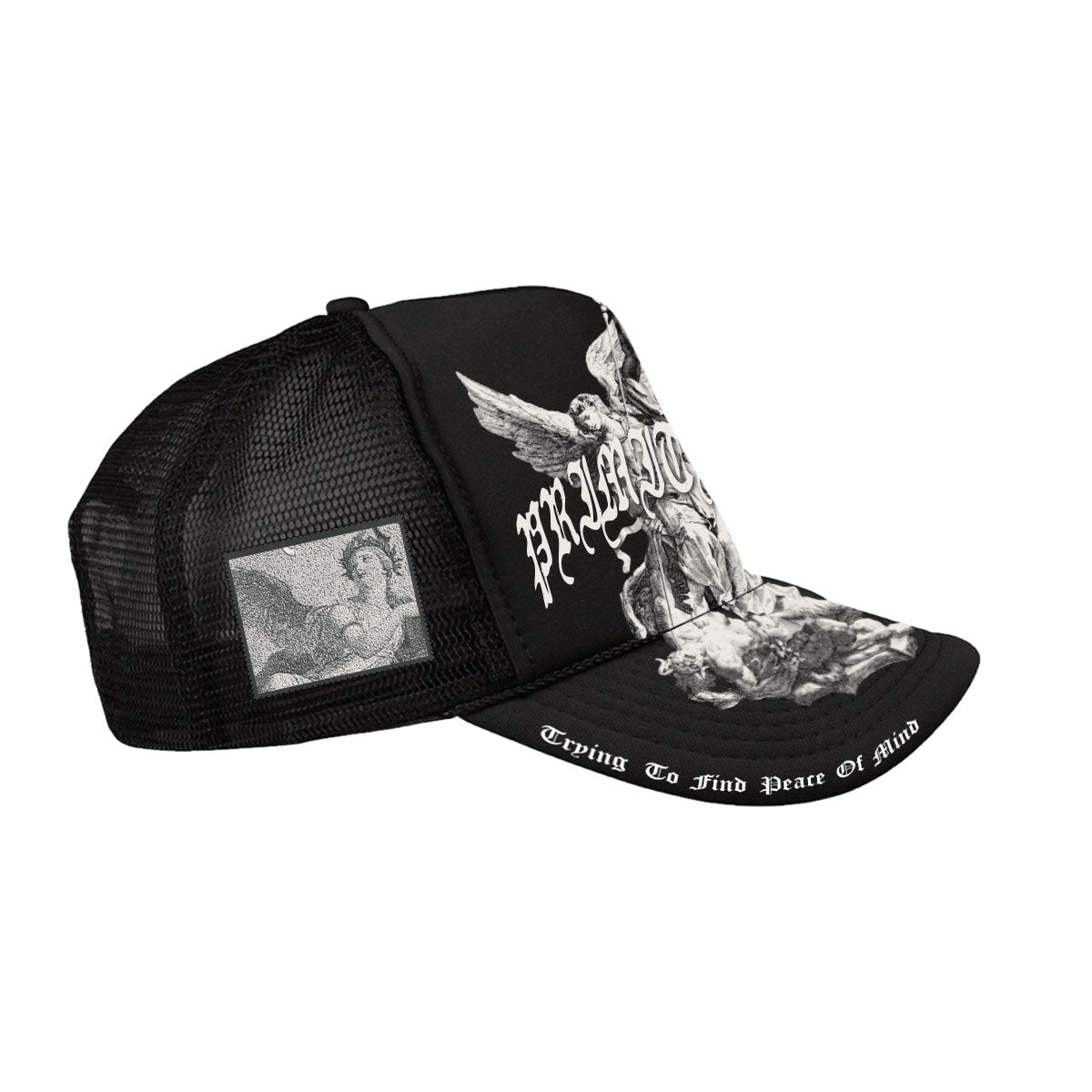CENTURY A-FRAME TRUCKER 2