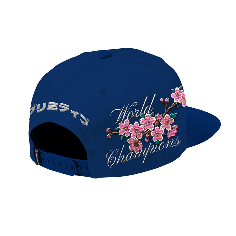 DESTINY A-FRAME SNAPBACK