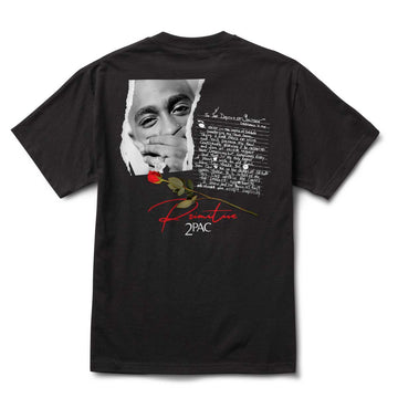 Primitive Skate Lyrics II Tee