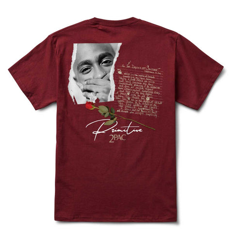 Primitive Skate Lyrics II Tee