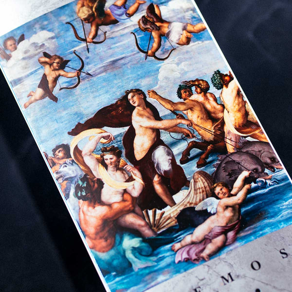 LEMOS CENTURY DECK - 8.0"