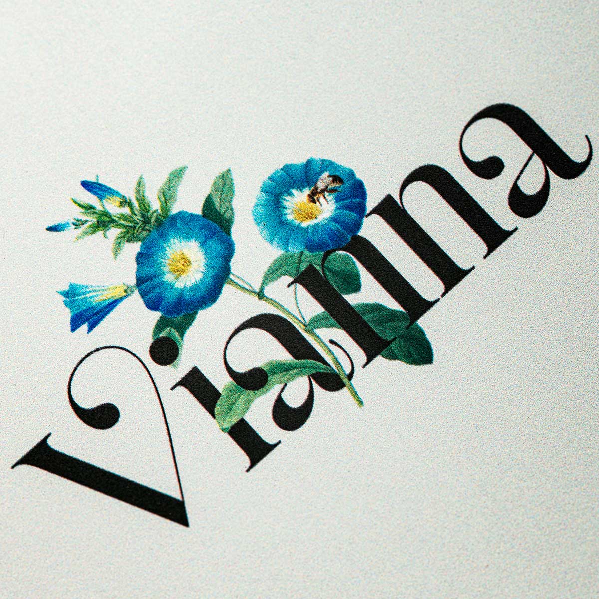 VIANNA GROVE DECK - 8.5" 4