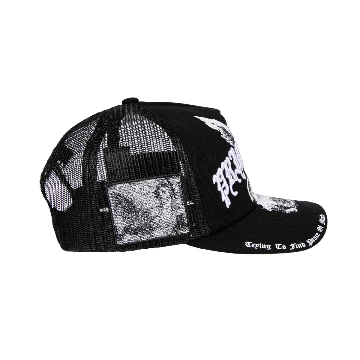 CENTURY A-FRAME TRUCKER 4
