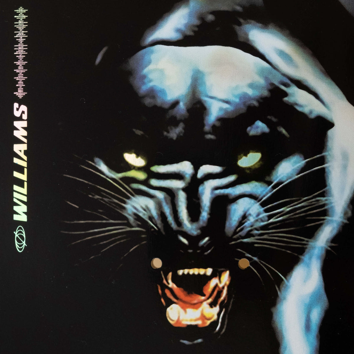 WILLIAMS PANTHER DECK